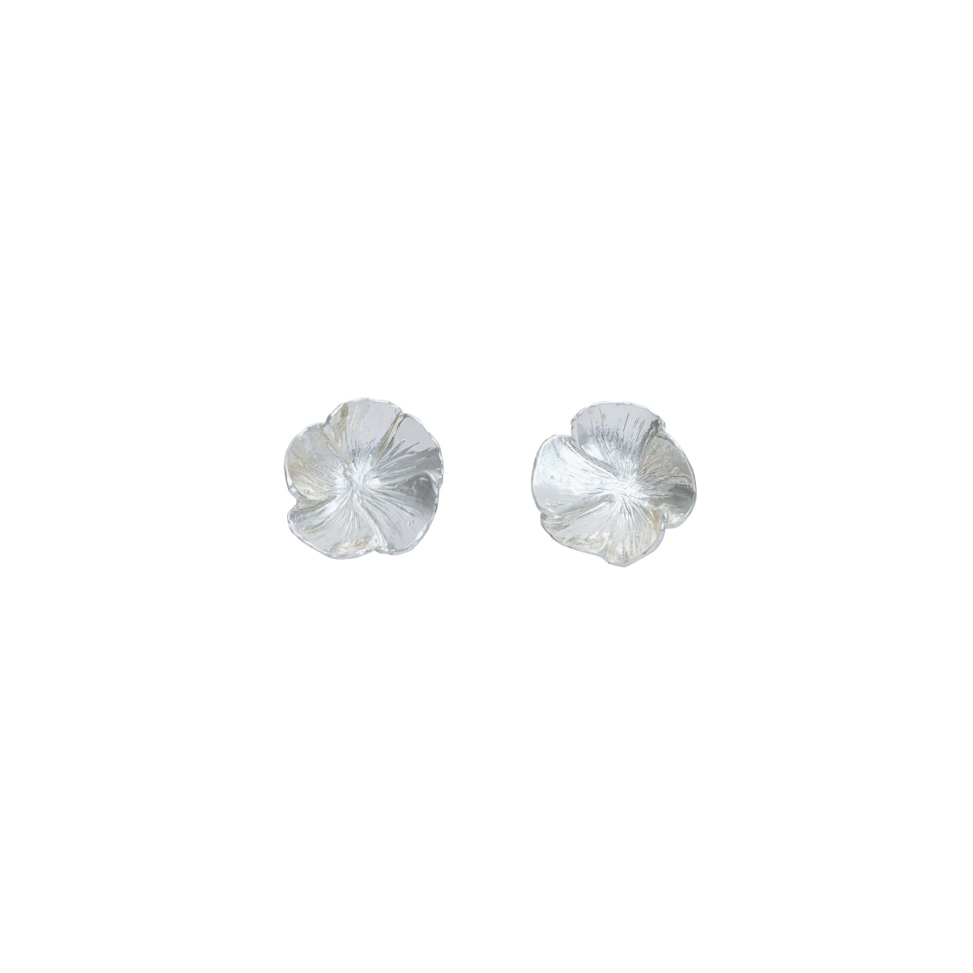 Boucles D'oreilles Clips Argenté Paris