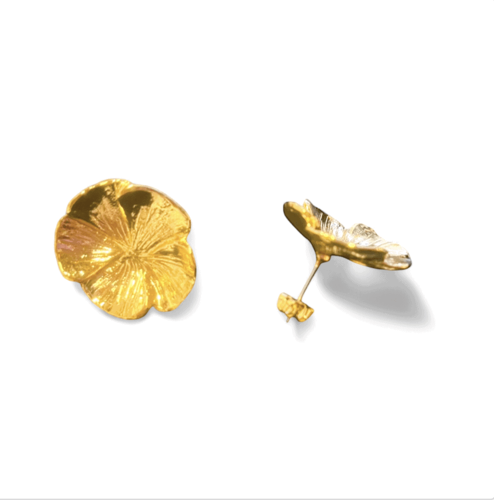 Photo portée Boucles D'oreilles Percées Paris