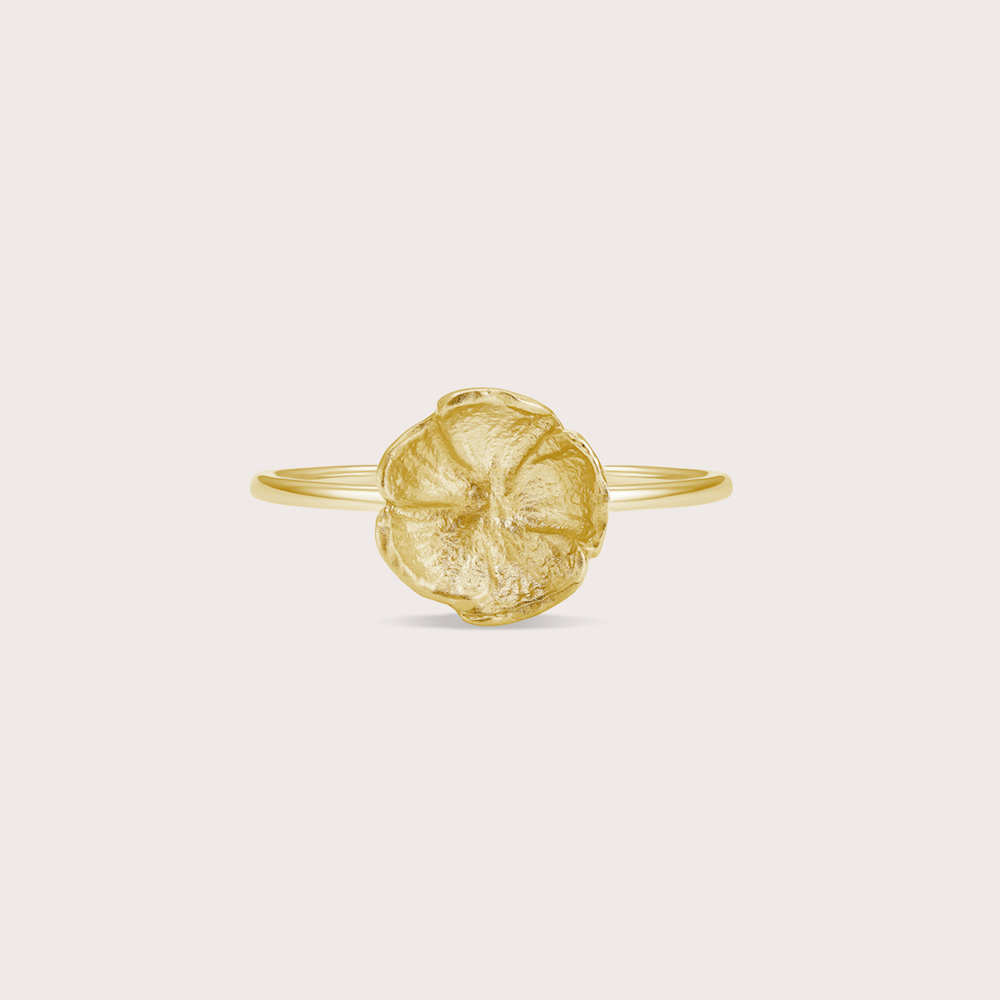 Photo portée Bague Aurore