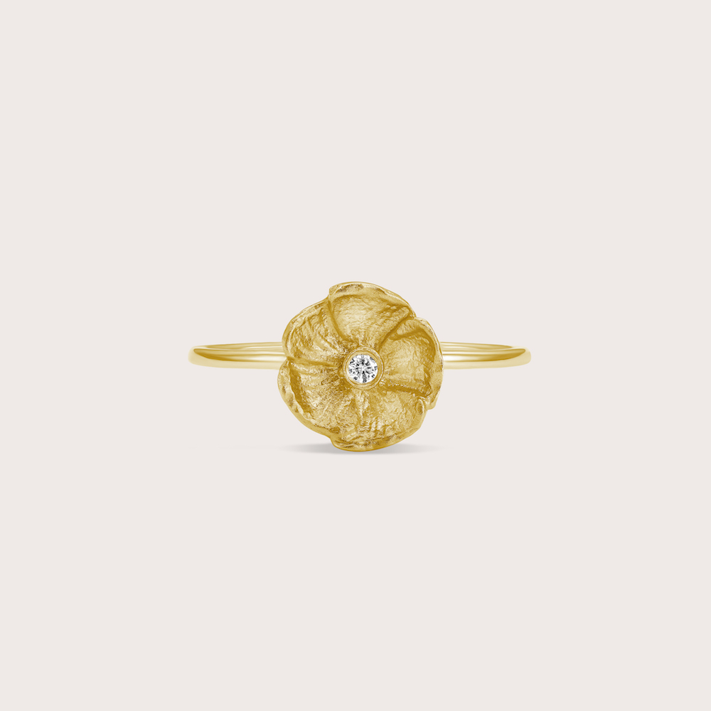 Photo portée Bague Aurore