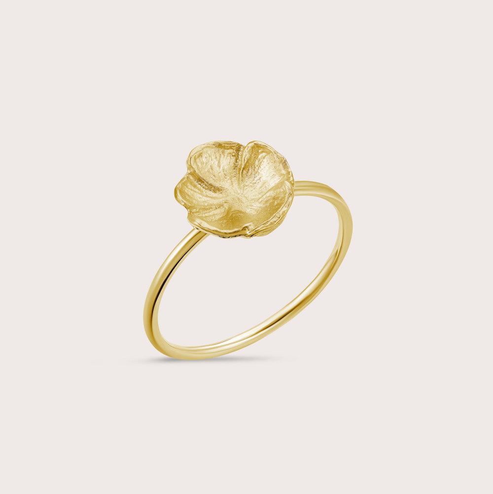 Photo portée Bague Aurore