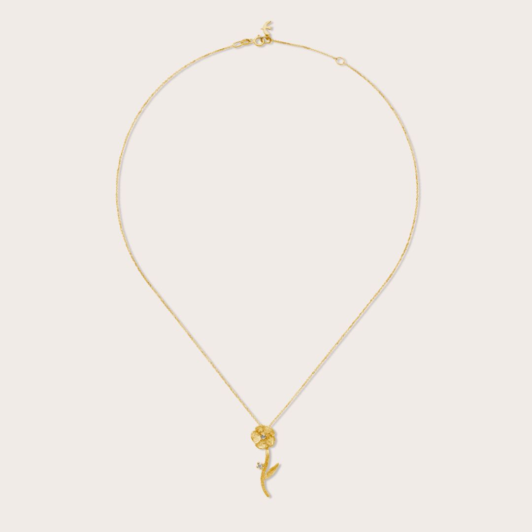 Photo portée Collier Frémisse
