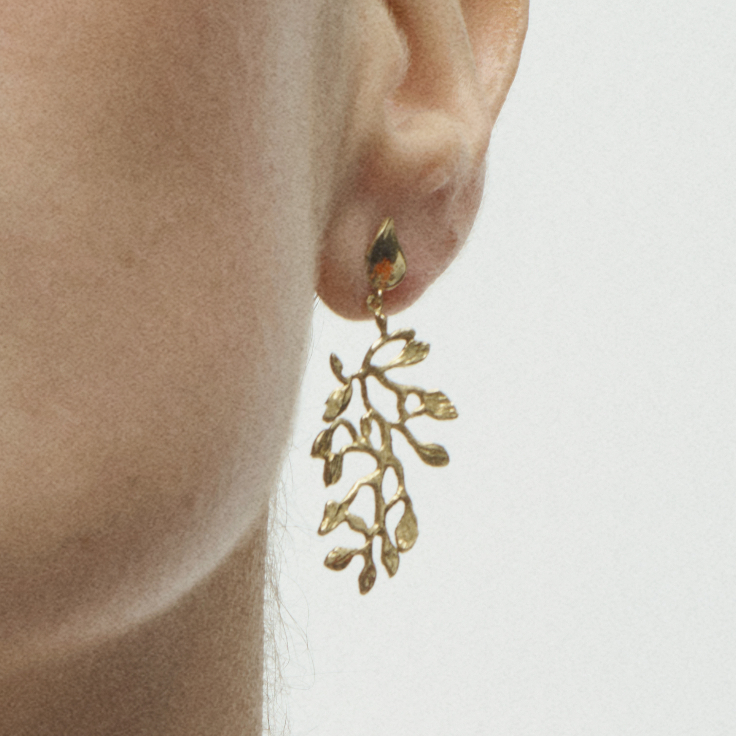 Photo portée Boucles D'oreilles Secret